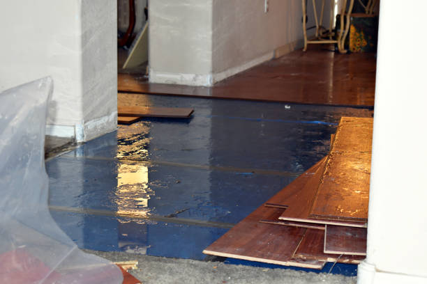 Professional Basement Flood Cleanup technician working in Fraziers Bottom, WV